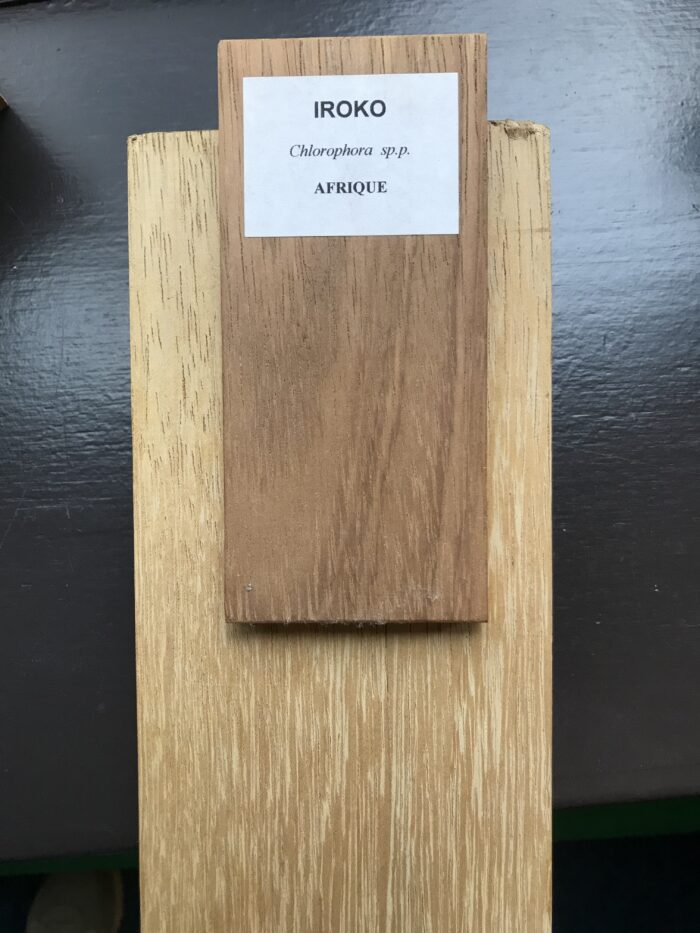 IROKO – Image 2