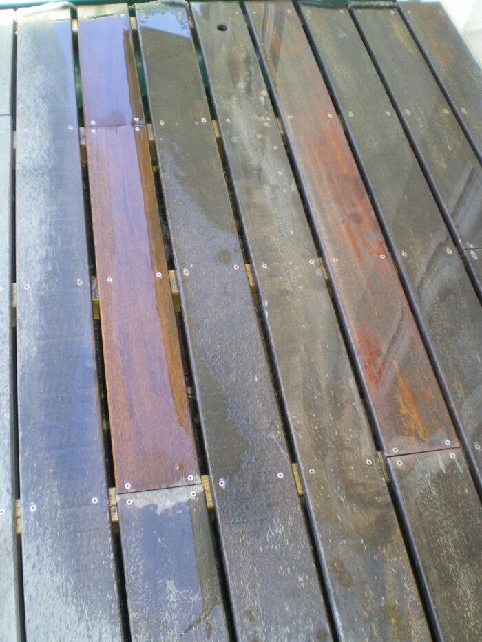 MUIRACATIARA – Image 3